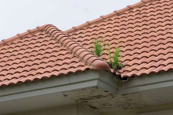 Trusted local roofing contractor in Hayward, CA